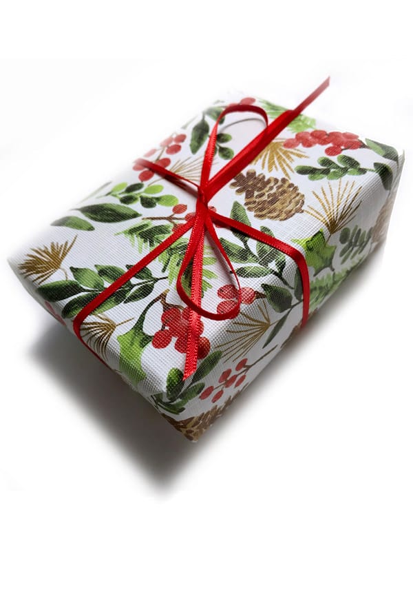 Small gift wrapped package in Winter holiday paper with a red ribbon.